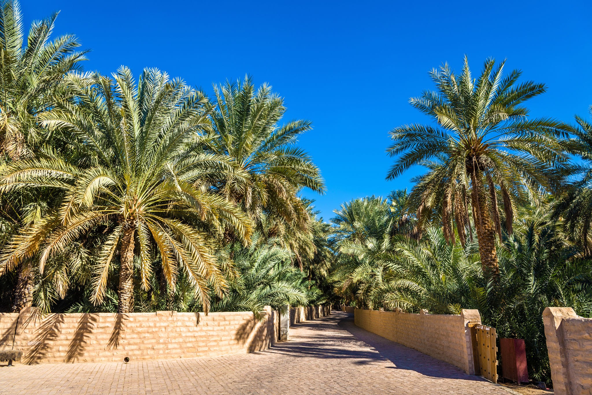Al Ain