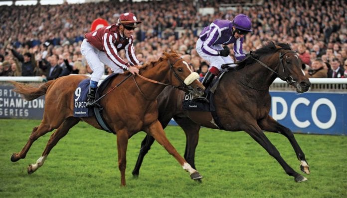 Dubai World Cup 2021: Where to Watch