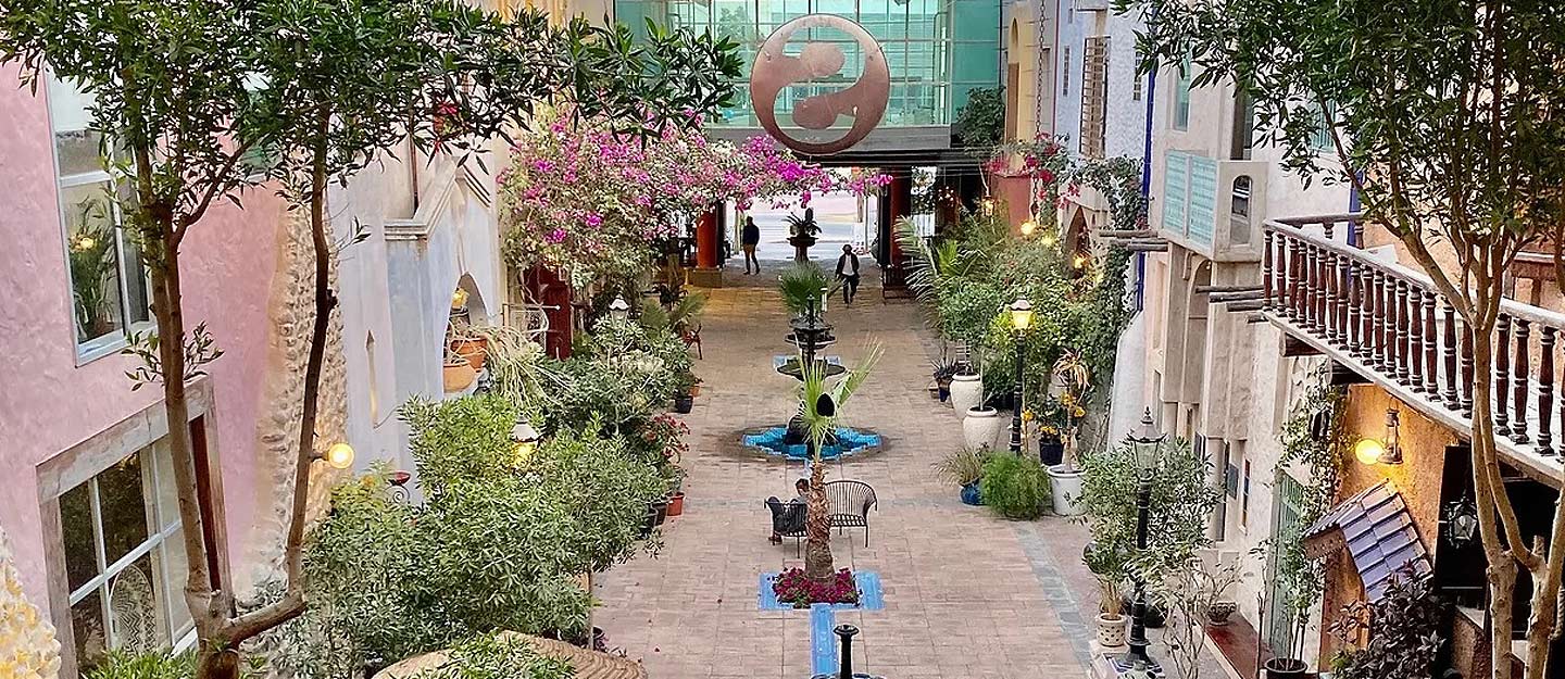 Dubai Al Quoz Guide: 5 Unique Things To Do In The Creative Zone